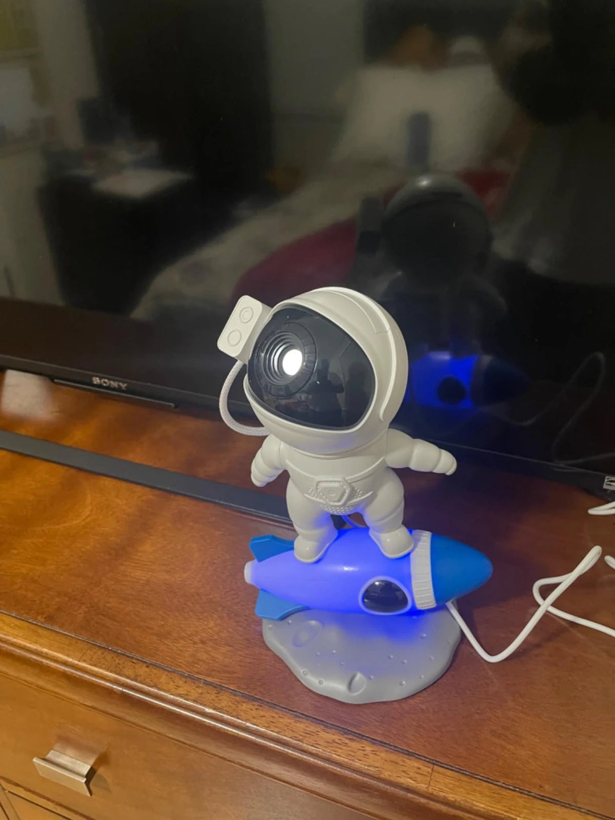 Customer photo: Projector in use